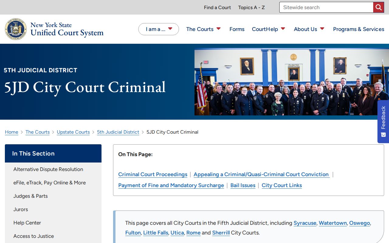 Oswego County criminal court procedure page